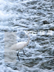 交行信用卡 三年前逾期 交行信用卡 三年前逾期